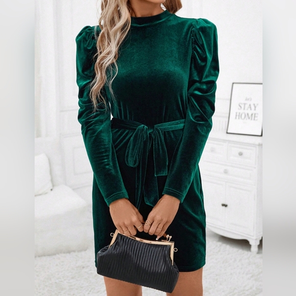 Pine Velvet Luxe Mini Dress - Picture 4 of 10